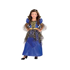 Enchanted Princess Costume 3-4 Toddler