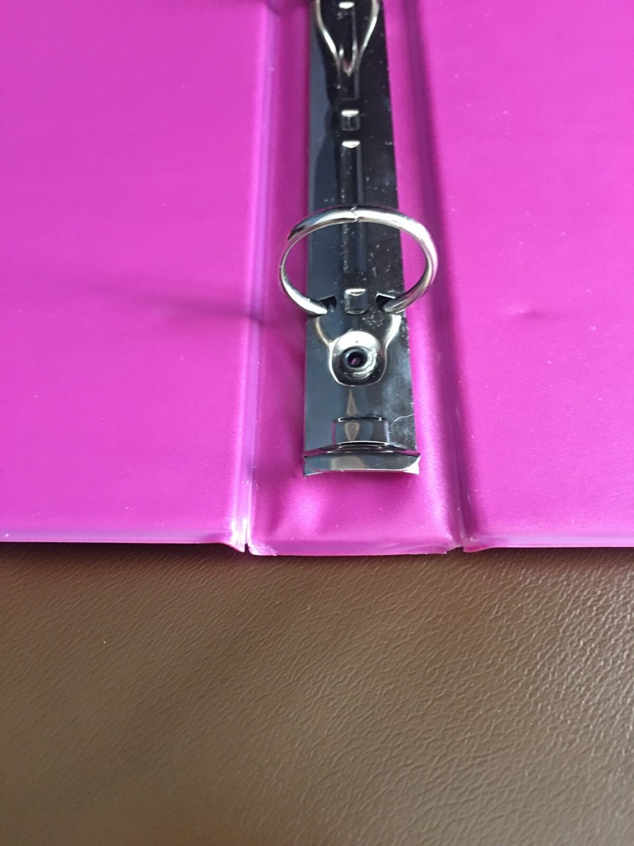 Rare Vintage 1990s Lisa Frank Raccoon Family of Four Trapper