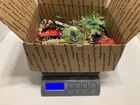 8+ lbs Huge Lot Costume Jewelry VTG Now Junk Art Craft & Wear  Mix In
