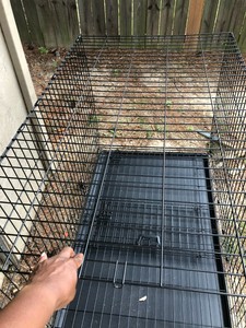 great choice fold and carry dog crate