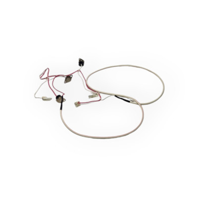 RINNAI 290-2164000 THERMISCHE SICHERUNGS-AUSTAUSCH-SENSOR-BAUGRUPPE
