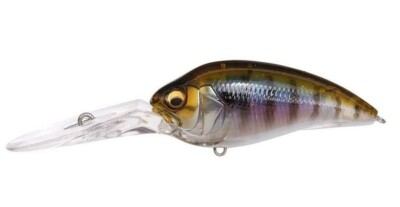 ★★Megabass　F3-55X EGLY GoGo★★ GLXrainbowsq_8c19cfb0-417a-