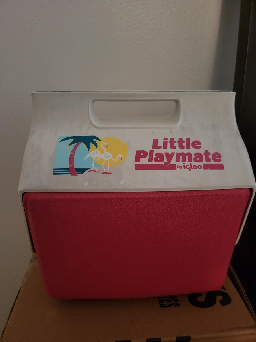 Igloo pink cooler 2025