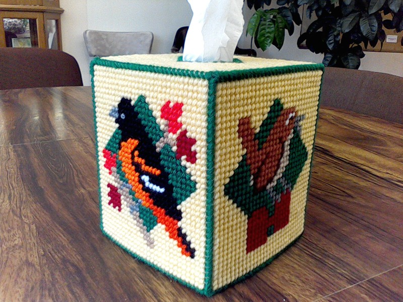 ORIOLE AND WREN  BOUTIQUE TISSUE BOX COVER IN PLASTIC CANVAS