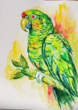 Colorful parrot pet Bird art Original painting,watercolor,interior design 5x7"