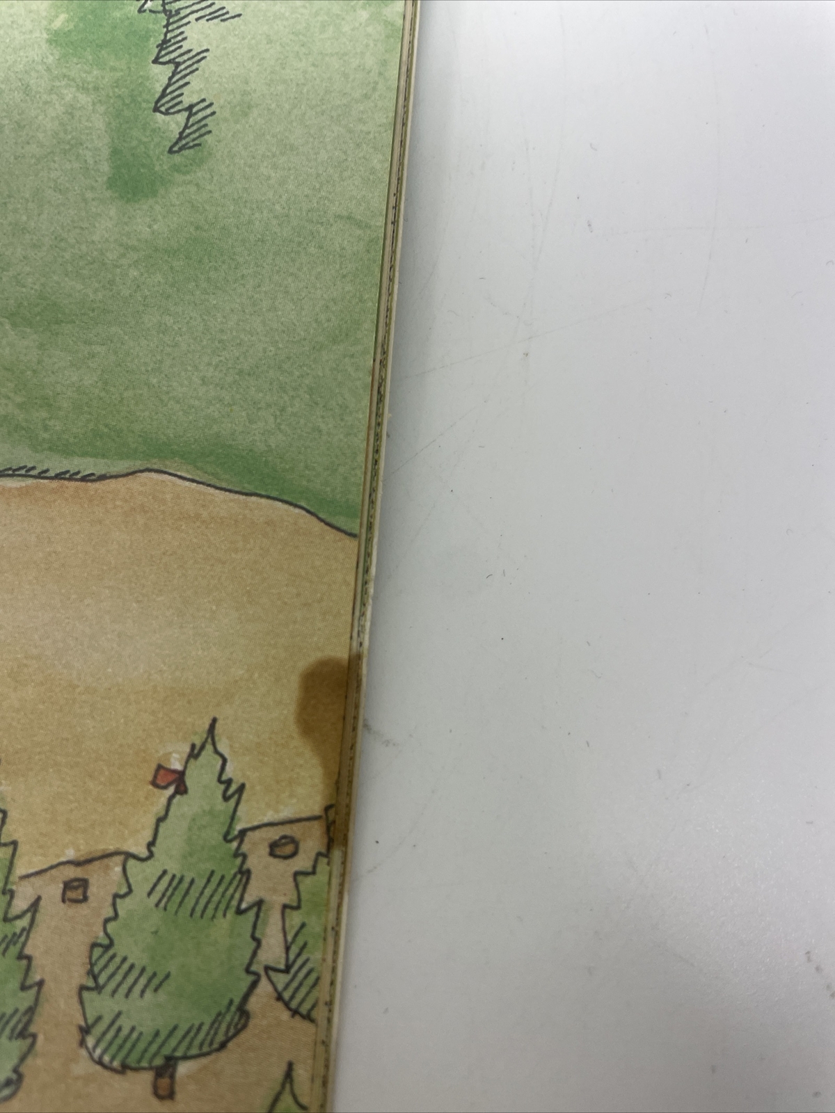 Picture 10 of 10