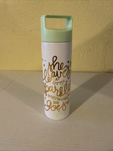 27 oz Disney Tinkerbell Water Bottle Stainless Steel