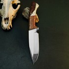 9.8" D2 Bushcraft Knife Full Tang Hybrid Handle Camping Survival Leather Sheath — photo 4