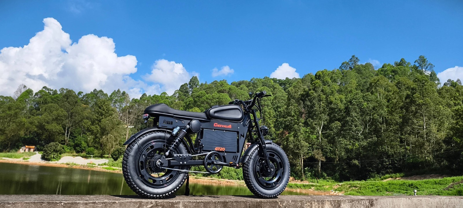 20" Electric Motorbike 6000W Tire 40MPH 60V 43AH Electric Motorcycle E-Dirt Bike