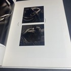 Bild 11 von 12