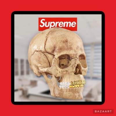 Supreme 4D Model Human Skull With Gold Grills FW23 BRAND NEW