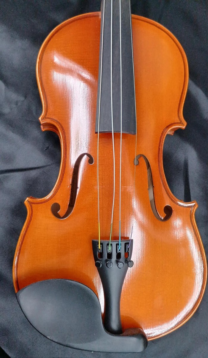 Andreas Eastman Vl80 4/4 Violin | eBay