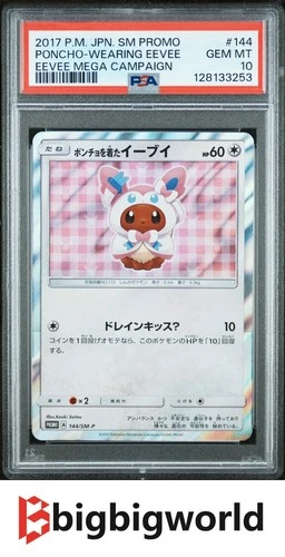 Poncho Wearing Eevee 144/SM-P Mega Campaign Sm Promo Pokemon Japanese PSA 10