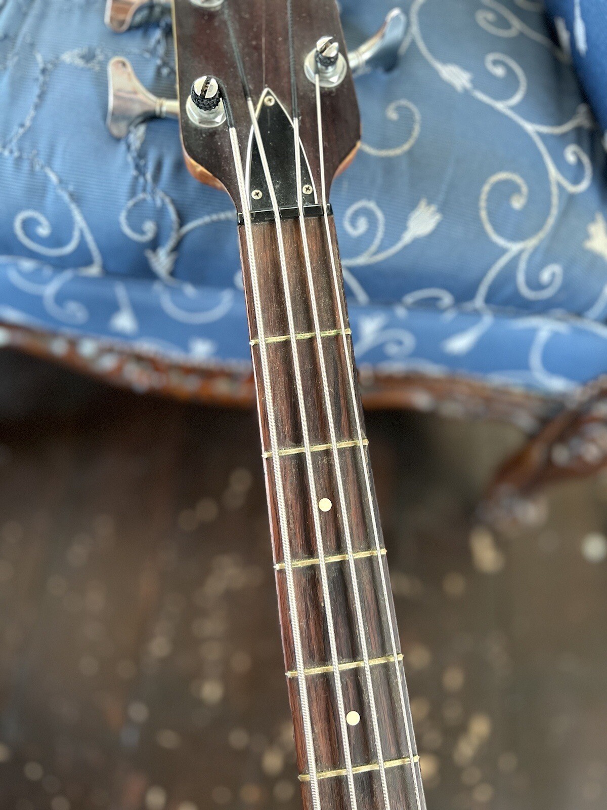 Encore 1970s Italian (EkoBuilt) Vintage Electro Acoustic Bass Guitar