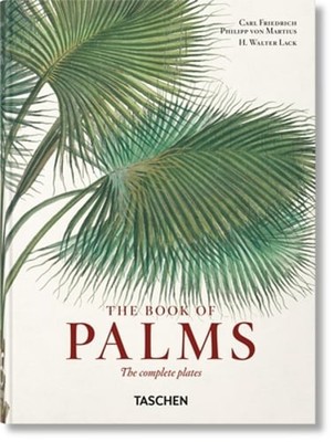 Martius. the Book of Palms. 45th Ed. by H Walter Lack: New