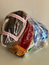 AVANTI Racing Plush Doll Hanshin JF Resistencia Avanti Idol Horse