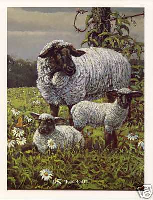 Lowell Davis "Isaiah 40.11" Print 8.25" x 10.5" - Picture 1 of 1