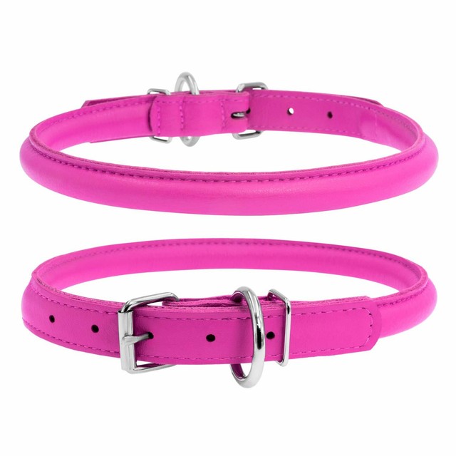 carhartt dog collar large