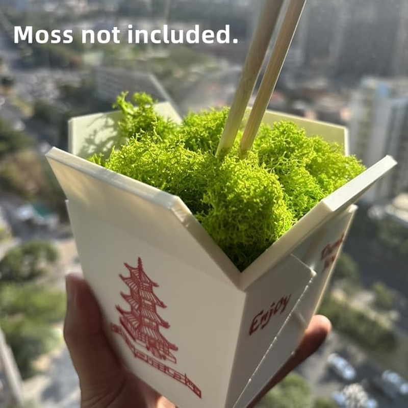 Chinese Take-Out Box Planter 3D Printed Flower Pots for Indoor Plants Unique