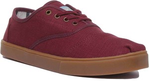 burgundy toms mens