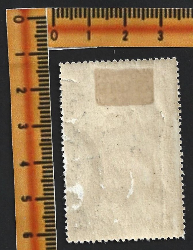 AOP) France 1927 PARIS LEATHER WEEK poster stamp MH | eBay