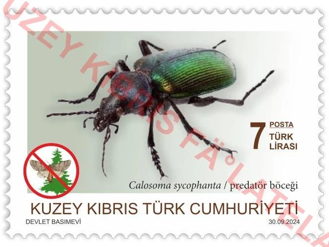 Estampillas de aves e insectos del norte de Turquía de Chipre de 2024 MNH Foto 4 de 4
