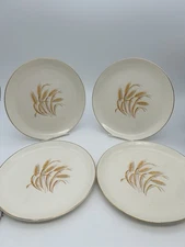 (4) Homer Laughlin Golden Wheat 9-1/4" Dinner plate. 22k Gold trim.