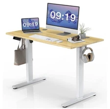 SMUG Electric Standing Desk with Memory Preset Ergonomic Height Adjustable Read!