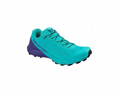 salomon sense pro 3 shoes