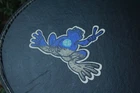 Picture 24 of 24