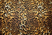 ANIMAL SKIN PRINTS -LEOPARD VI - 100 COTTON FABRIC