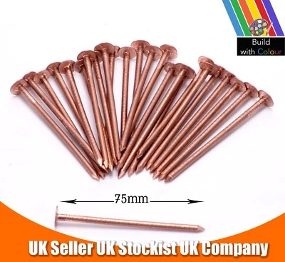 BUILD WITH COLOUR 40 x 75mm Copper Nails Extra Large Tree Stump Killer Tree Removal Gardening Home