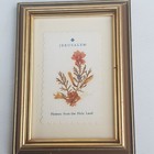 Pressed Dried Flowers from The Holy Land Jersalem CottageCore Vintage Floral