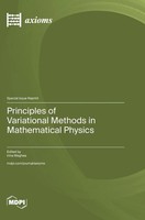 Principles Of Variational Methods In Mathematical Physics | Buch | Englisch