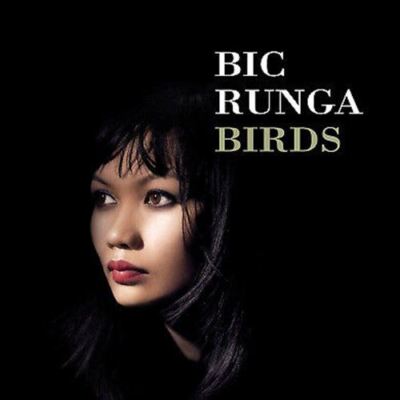 BIRDS Bic Runga CD Very Good Condition FREE SHIPPING