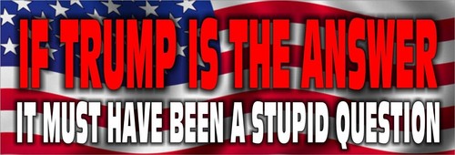IF TRUMP IS THE ANSWER - ANTI Trump POLITICAL Bumper Sticker or Car Truck Magnet - Picture 2 of 7