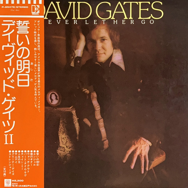 洋楽 AT THE GATES LP 洋楽 AT THE GATES LP AT THE GATES