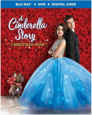 Cinderella Story, A:  Christmas Wish (Blu-ray/DVD), Good DVD, Maddie Phillips,Ta