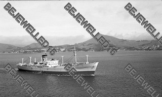 Altes Schiffsnegativ."Queensland Star".Frachtschiff auf der Blue Line Flotte.#730