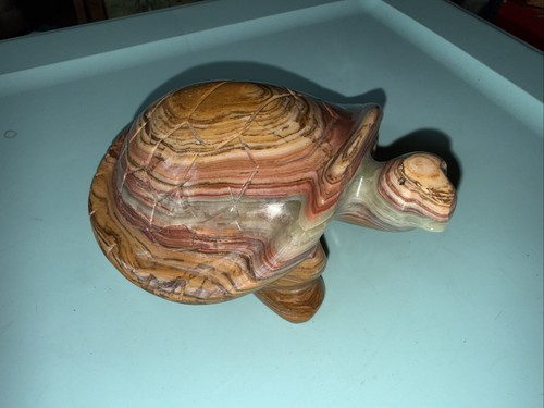 Rare Natural Medium Well Meat Pork Stone hand Carved Turtle Piece 870G 1lb 15oz