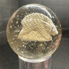 ANTIQUE VINTAGE GERMAN SULPHIDE SULFIDE GLASS MARBLE with Boar 1.5" VERY NICE