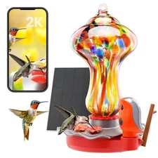 Glass Smart Hummingbird Feeder with 2K HD Camera Solar Powered - AI Identify ...