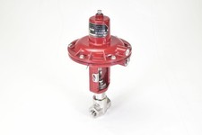 BADGER METER 1001GCG36SK0SILNST, 973, Globe valve, G1/8"/G1/4"