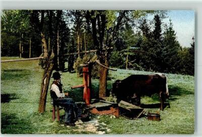39283895 - Dairyman Pipe Cow