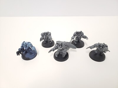 Warhammer 40k Space Wolves Terminatoren Wolf Guard Terminators