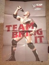 WWE The Rock Team Bring It Poster Slam Crate/Loot Crate Exclusive