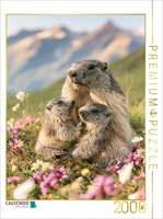 "Calvendo Puzzle An Image From The \"Wild And Wonderful\" Calendar | 2000 Pieces, F"