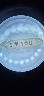 Mikroskulptur. I LOVE YOU auf Reiskorn. Micro Art