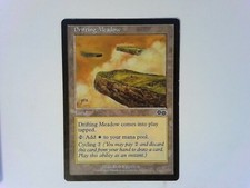 Drifting Meadow	 Urza's Saga - Magic the Gathering MTG - Land