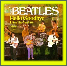 The Beatles- Hello Goodbye Pic Sleeve #3 - No Record